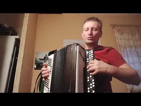 Ночь, какая ночь.качает ветер паутинок кружева