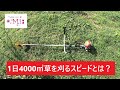 【１日4000平米の草刈り】たべものがかり農場