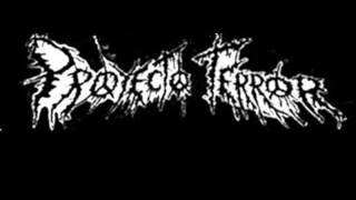 PROYECTO TERROR - New world order (Violent Headache Live Tribute)