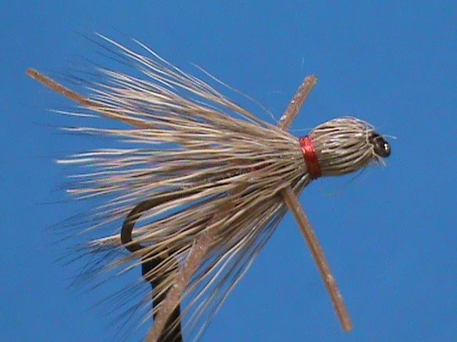 Fly Tying a Red Ass Beadhead Woollybugger with Jim Misiura 