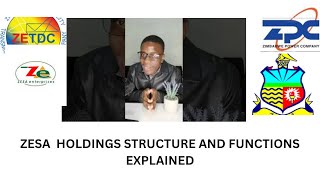 Who Runs The Power Sector In Zimbabwe? - Zesa Holdings Case Study, Load Shedding & More.