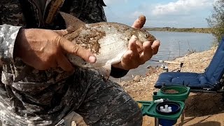 видео Садки и подсачеки в Волгограде