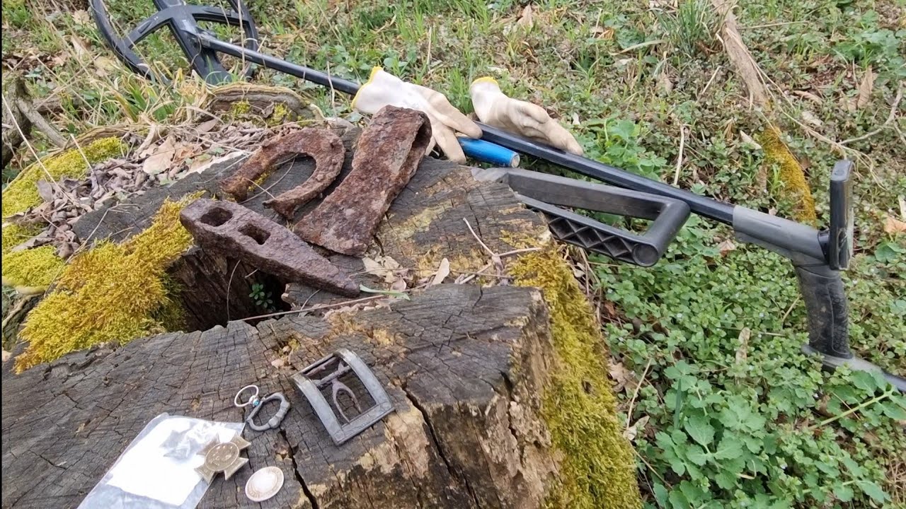 Lesní úvoz vydal své poklady při hledaní s detektorem kovu.