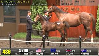 セレクトセール2025 2日目当歳 上場番号481～510 - YouTube