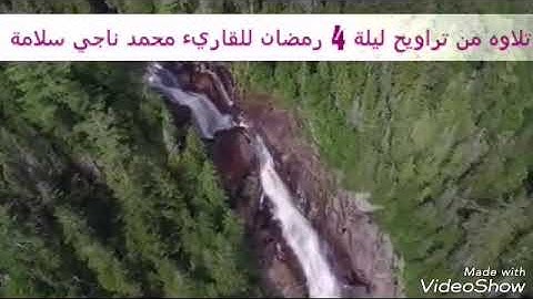 #تلاوه_من_تراويح_ليلة_٤_رمضان للقاريء محمد ناجي سلامه 😍😍😍 نسال الله القبول