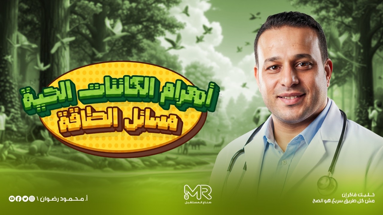 أهرام الكائنات الحية ومسائل الطاقة  علوم متكاملة الترم الثاني  تابع الدرس الأول