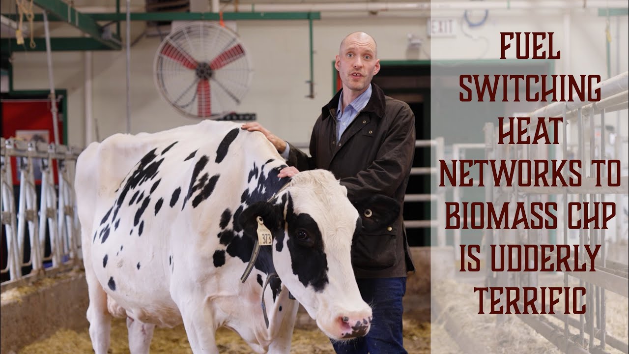 Fuel Switching a University Campus Heating Network to Biomass Combined Heat and Power