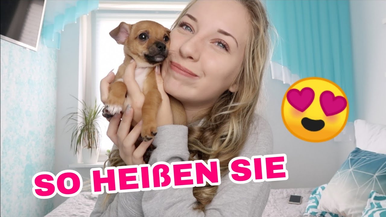 SO HEIßEN die WELPEN 🐶😍 family matters