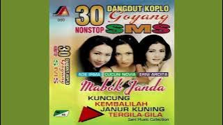 30 Nonstop Dangdut Koplo Goyang SMS - Side B (Full Album 2005)