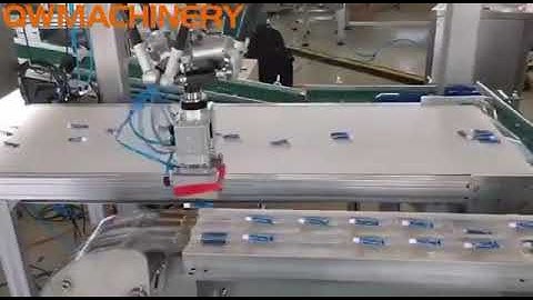 Delta/Parallel Robotic Case Packer/Packaging Solutions For Food Industrial