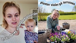 besøg af sundhedsplejerske (1,5 års tjek), musthaves til bleskift, planter violer + havearbejde