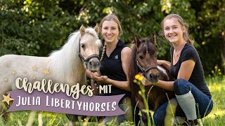 Stallchallenges Mit Julia & Ihren Minis Pilsali