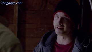 Breaking Bad S01E01: Don't Shit Where You Eat! Cook.