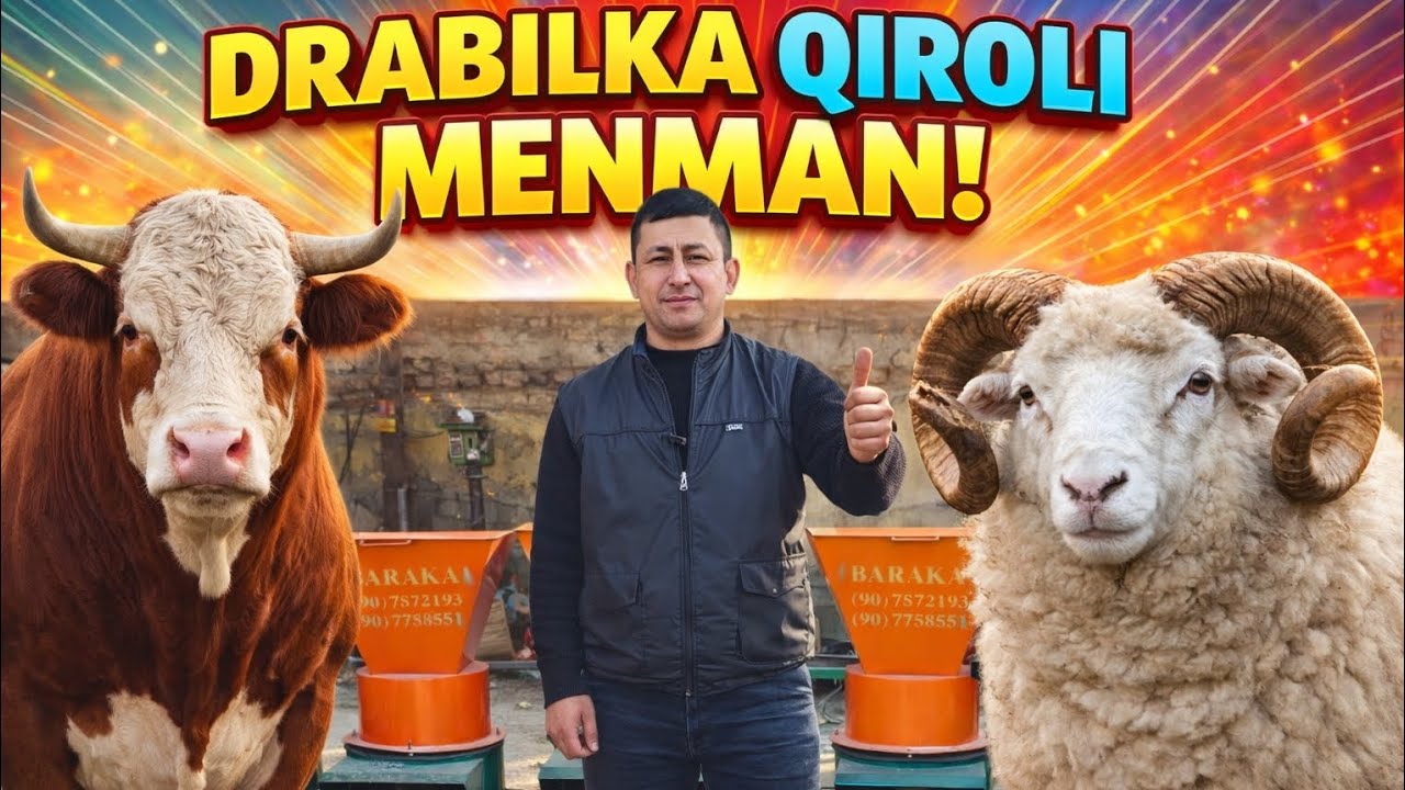 DAXSHAT BOZORI ARZON🔥🔥🔥 DROBILKANI QIROLI KELDI 