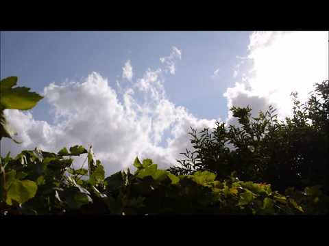 Βίντεο: Σύννεφα πάνω από το σιδηρόδρομο