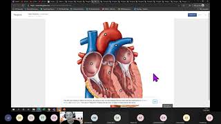 EdTech Demo: Using ThingLink to create interactive resources