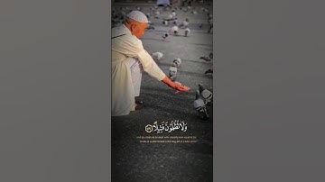 #خشوع تام تلاوة مؤثرة للشيخ الجليل سيد سعيد وطيور الحرم تقف على رؤوس المعتمرين#اسلاميات#راحة_نفسية