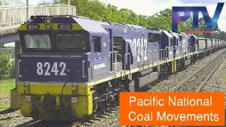 Paul's Train Vlog 900: Pacific National Coal Movements