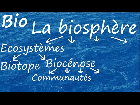 Vidéo: Qu'est-ce que la biosphère et ses types?