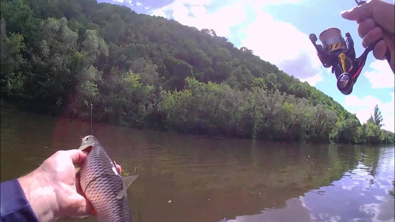 Camera Water wolf - Montage carpe - Petit session - YouTube