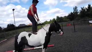 video 1502371741