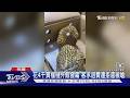 花4千買榴槤外殼發霉 客求退費遭拒還被嗆｜TVBS新聞 @TVBSNEWS01