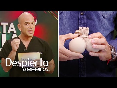 Video: La Cabeza Del Cuerno Es Testicular