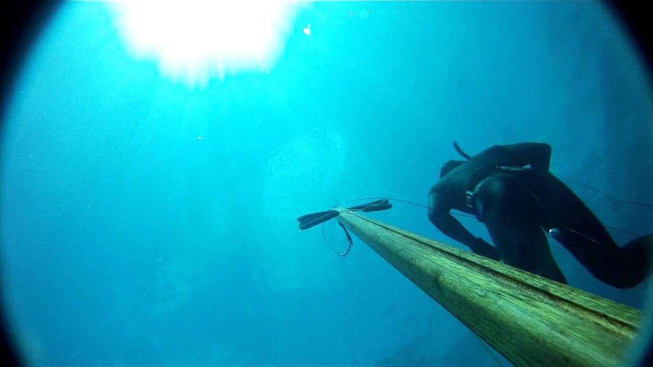 ulua stone shot 55lbs