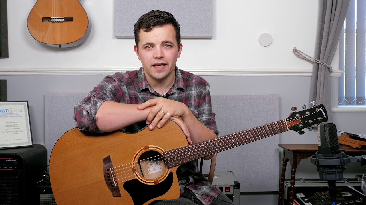 Acoustic or Electroacoustic guitar? a beginner's guide. YouTube