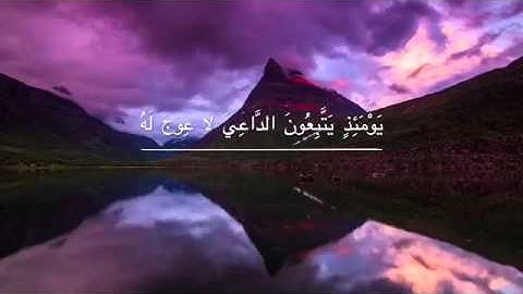 القارئ : بشير عبدالله.