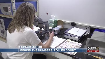 EXPLAINER: What is pollen count and how do we measure it?