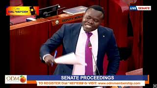 Sen.Eddy Oketch DEMOLISHES health committee for throwing soft punches at gvt on medics strike crisis screenshot 4