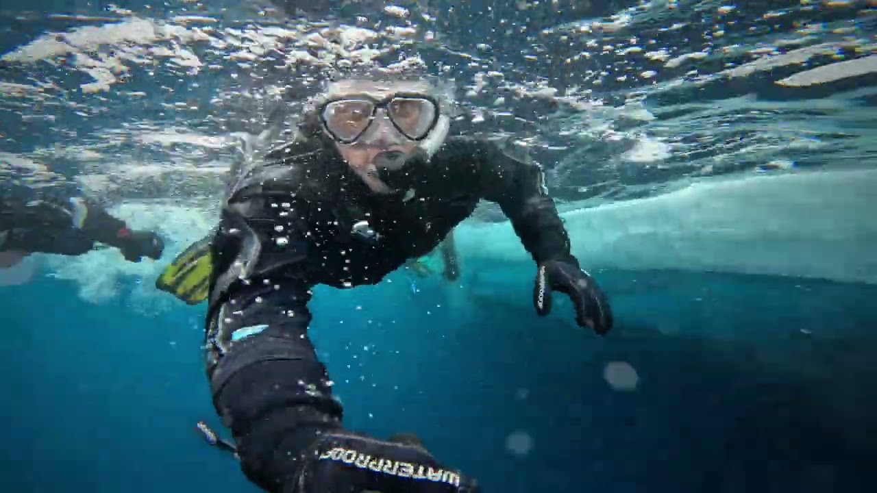 Snorkeling en eau froide au Nord du Groenland