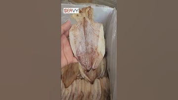 Mực khô câu size nhỏ quá đẹp