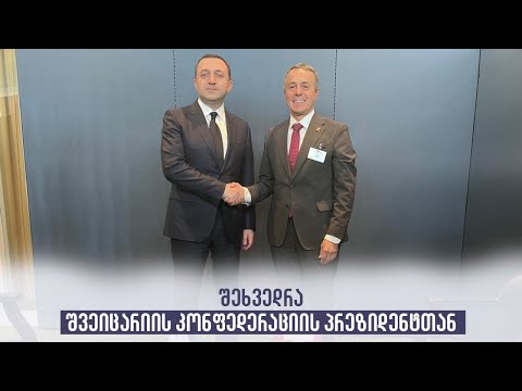 შეხვედრა შვეიცარიის კონფედერაციის პრეზიდენტთან