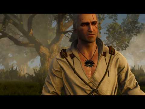The Witcher 3
