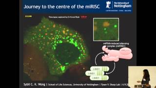 Journey to the centre of the miRISC - Research snapshot