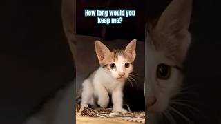 How Long Would You Keep Me?