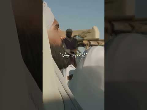 حيدر علي وي فاطمه فرشو البساط الأحمر زواج النورين