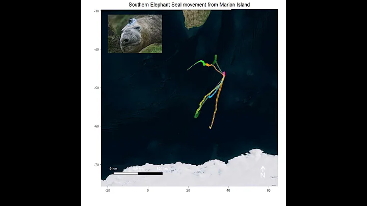 Marion Island southern elephant seal satellite tra...