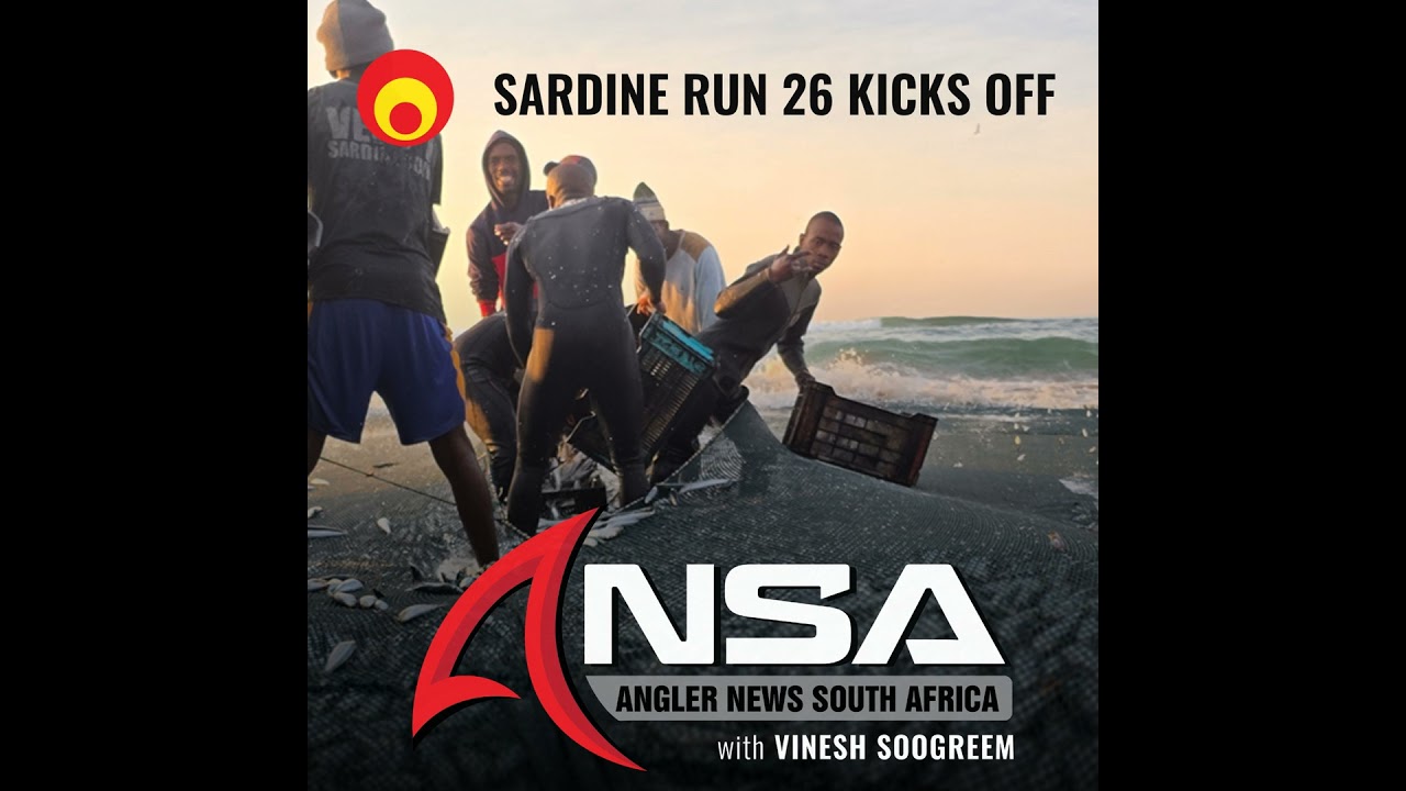 Sardine Run 26 Kicks Off - KZN REPORT (18 JUNE '26)