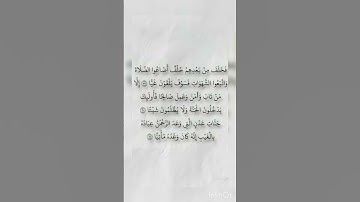 القارئ وديع اليمني من "سورة مريم