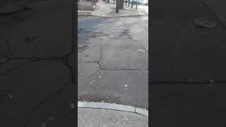 Shelton ave the ville 2x New haven ct