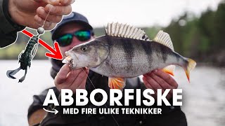 Abborfiske med VMC rigger - Hva fungerer best? screenshot 5