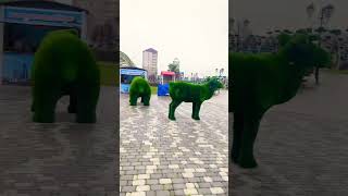 Walking In Grozny Russia