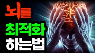 당신의 뇌를 최적화 하는 방법 / 지금 당신의 뇌를 최상의 컨디션으로 만드는 법