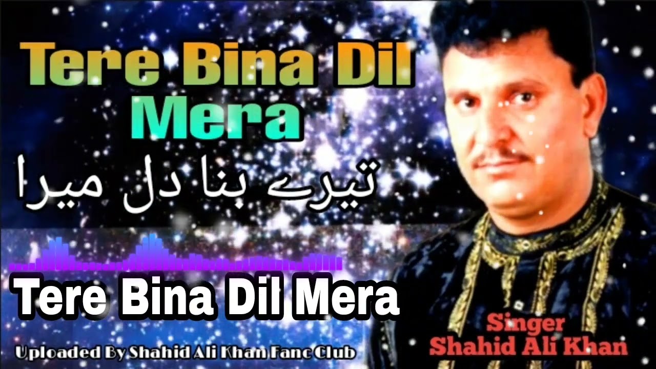 Tere Bina Dil Mera Ek Pal Bhi Nahi Lagta Dard Ki Jaan Shahid Ali Khan