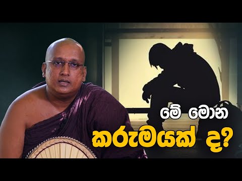 හැමදේම කරුමෙට යට ද?│ Ven Kolobisse Dhammananda Thero │Dharma Deshana│බුදු බණ│budu bana│nekaakaara