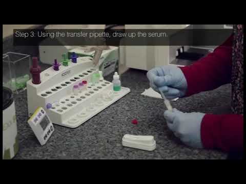 No.4 SNAP® Feline proBNP 사용법 안내 동영상 - YouTube