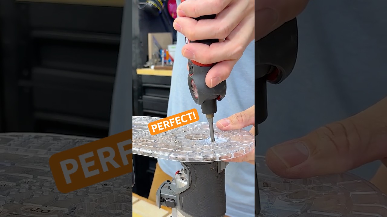 Every Homeowner is Buying This SKIL Tool